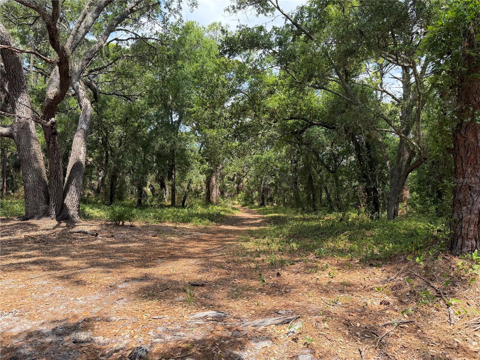 Lot 8 & 9 NUTMEG AVENUE PID 0087030036