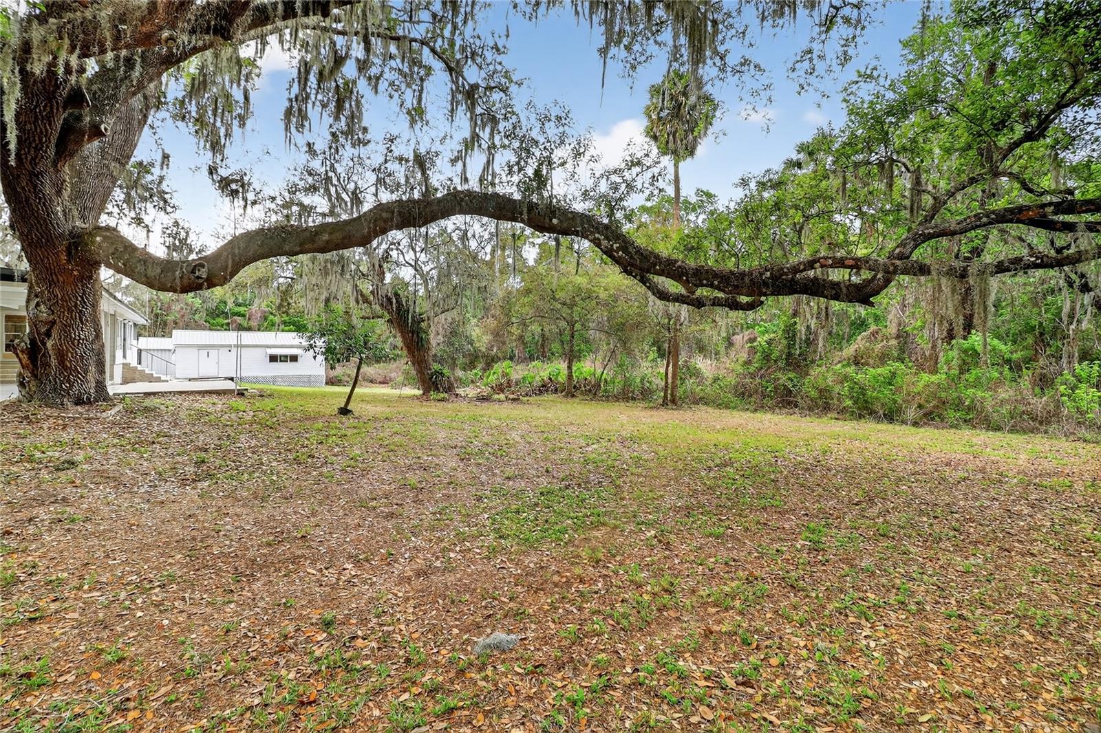 NOT IN SUBDIVISION - Residential