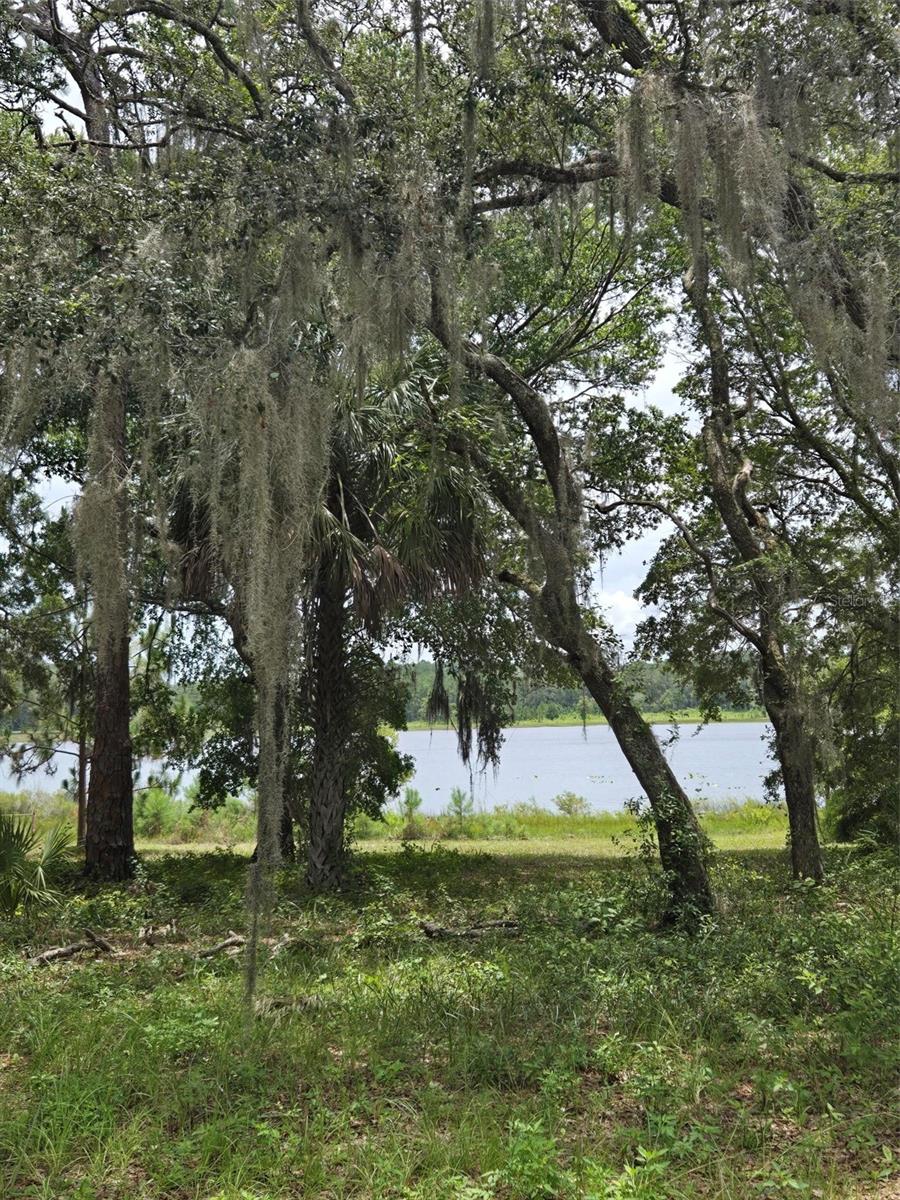 CLEARLAKE RANCHES HAMLET SUB - Land