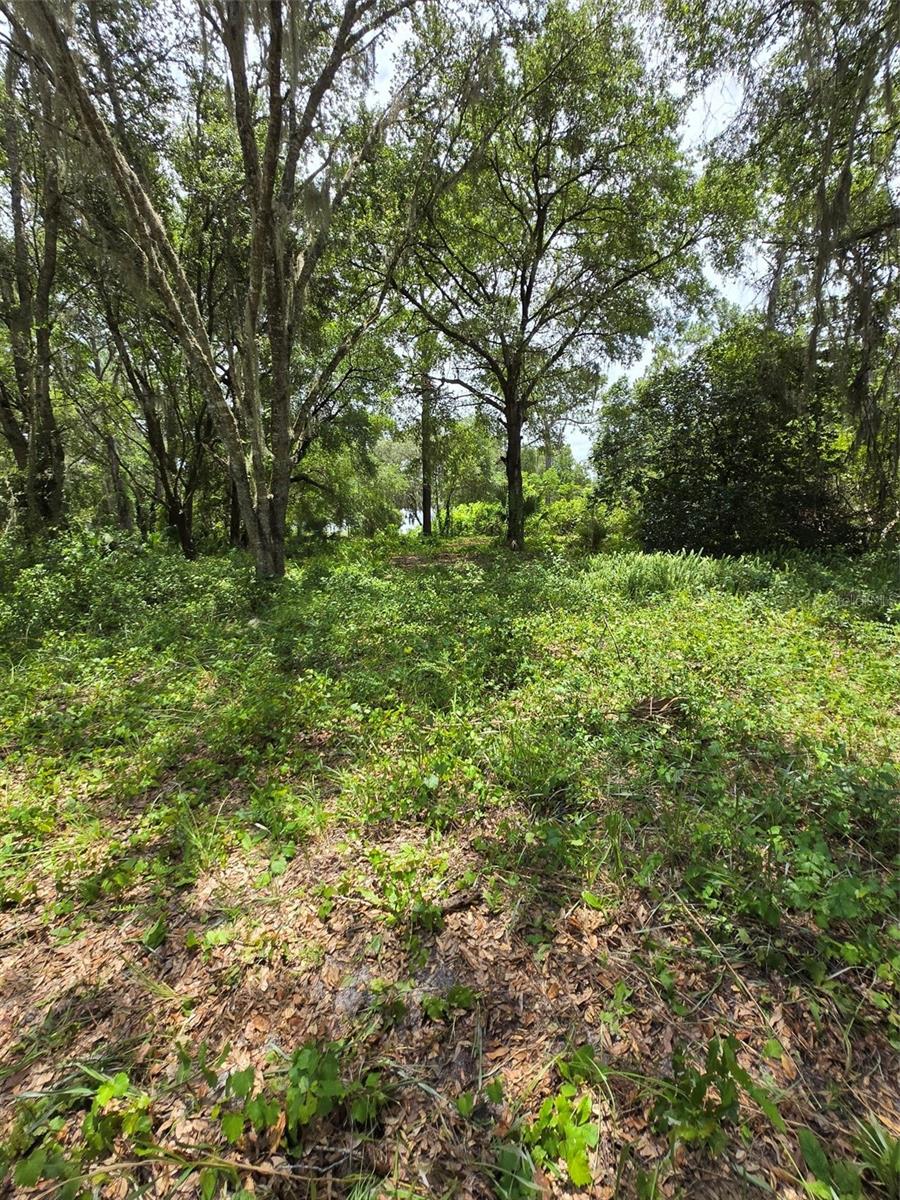 CLEARLAKE RANCHES HAMLET SUB - Land