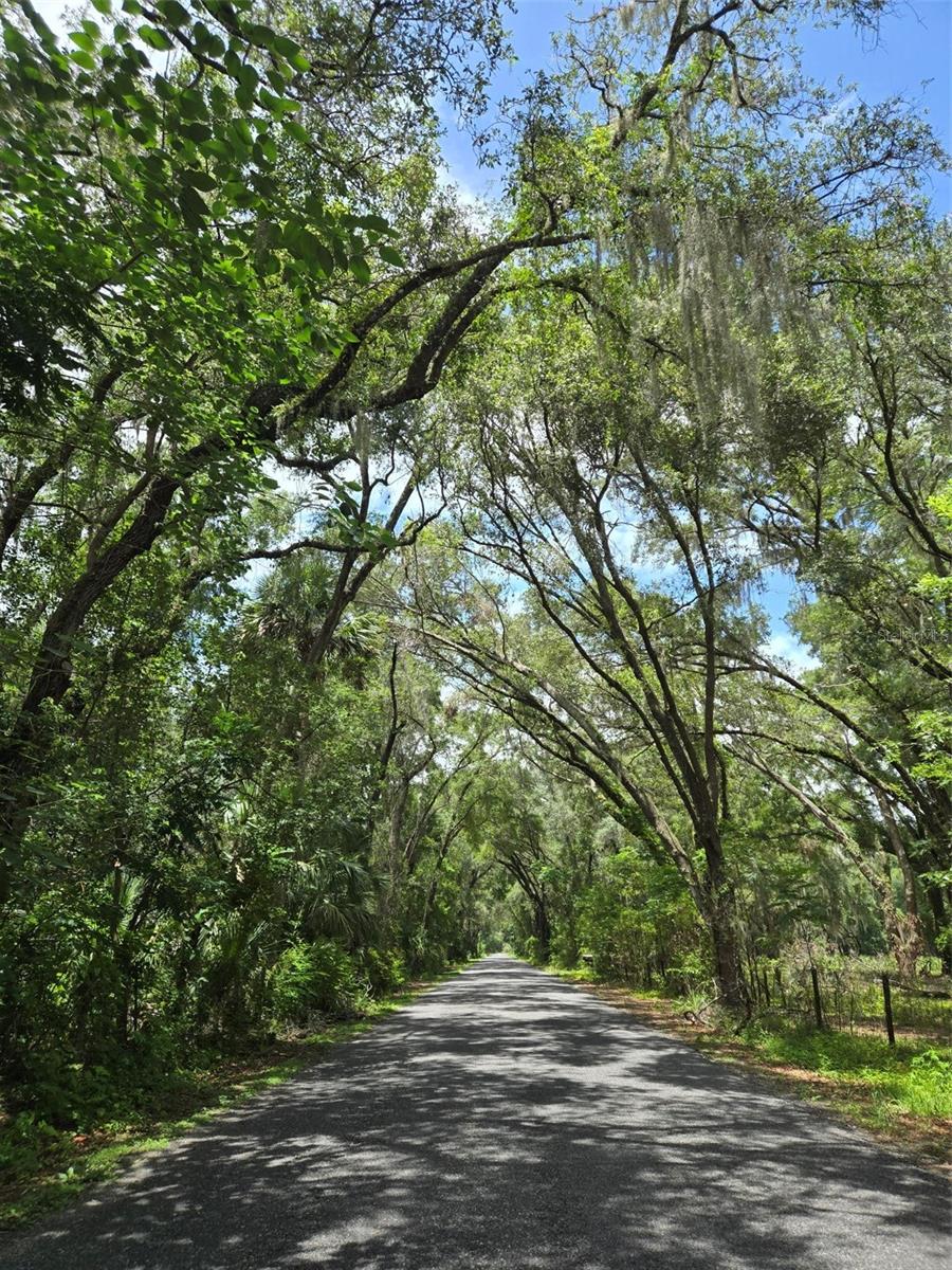 CLEARLAKE RANCHES HAMLET SUB - Land