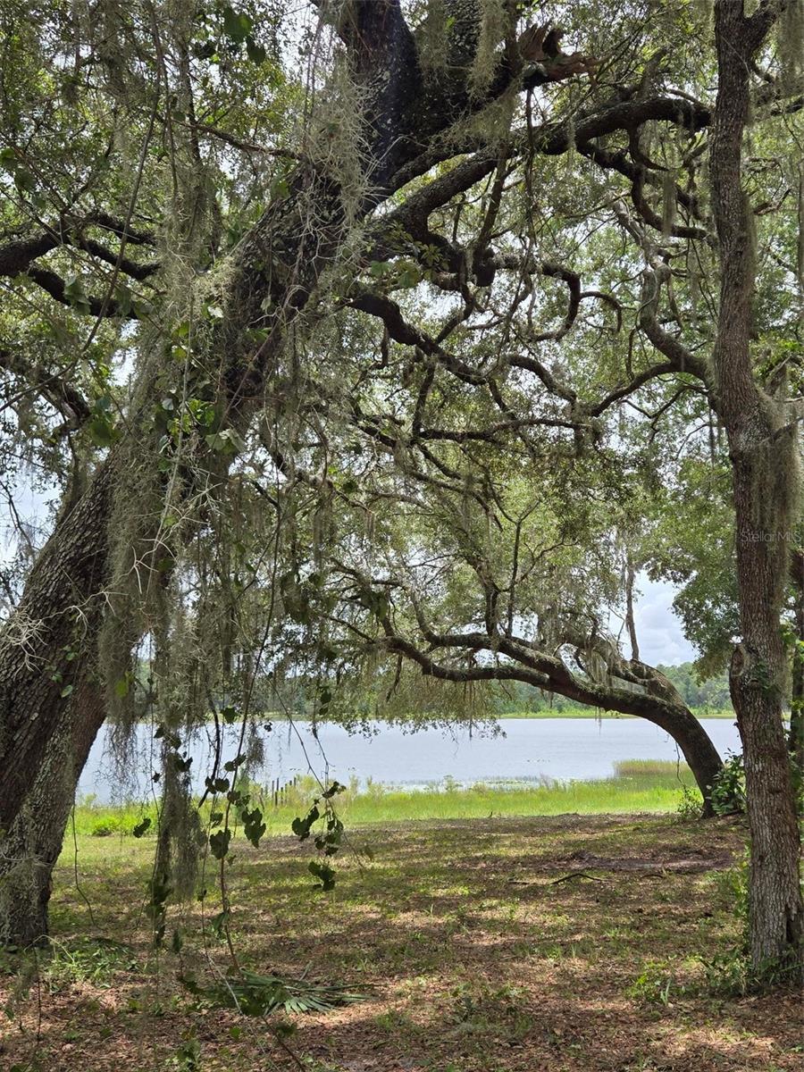 CLEARLAKE RANCHES HAMLET SUB - Land