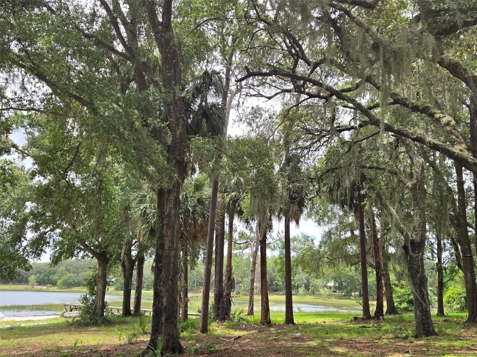 CLEARLAKE RANCHES HAMLET SUB - Land