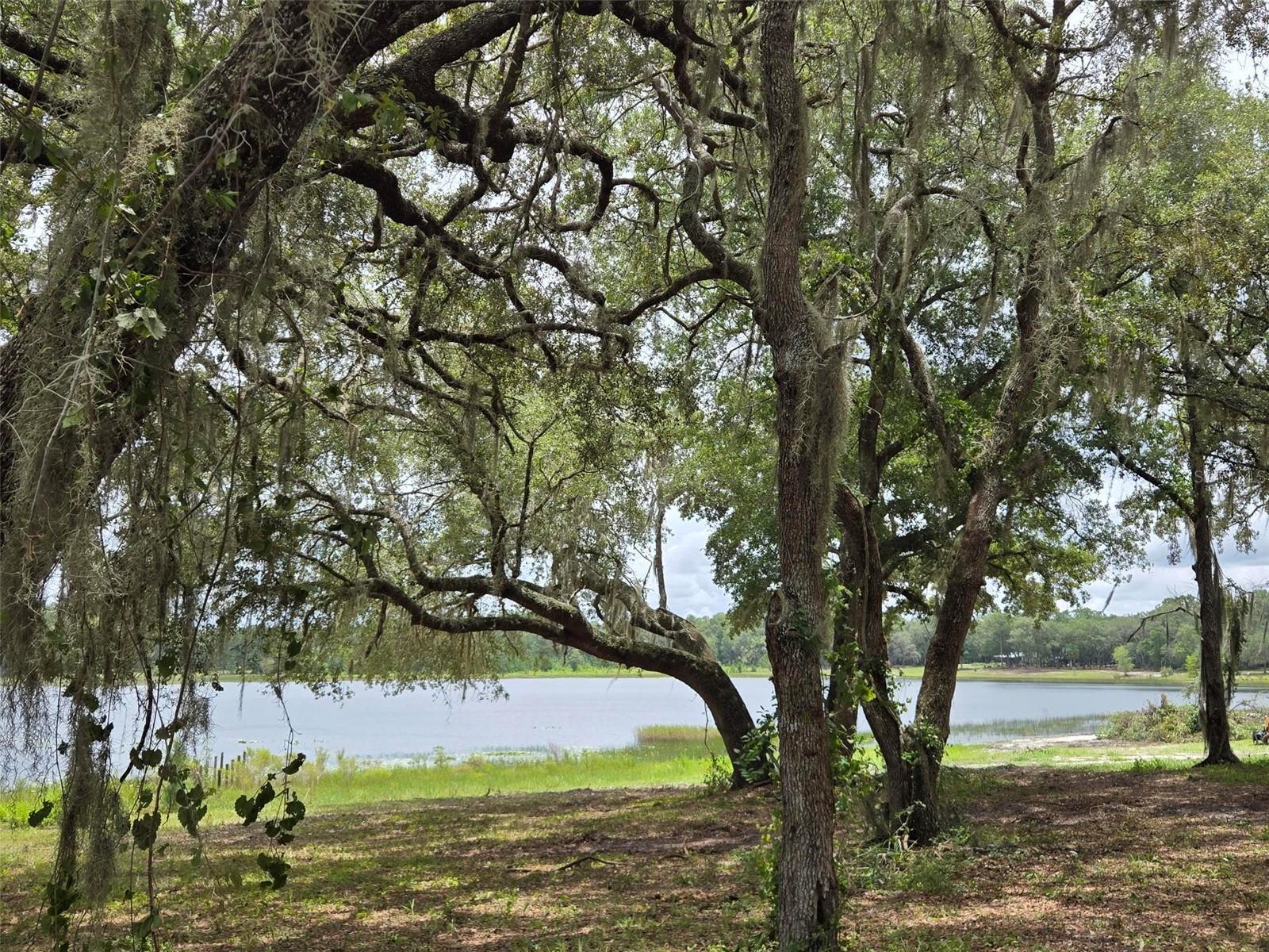 CLEARLAKE RANCHES HAMLET SUB - Land