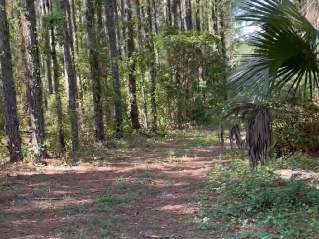 CLEARLAKE RANCHES HAMLET SUB - Land