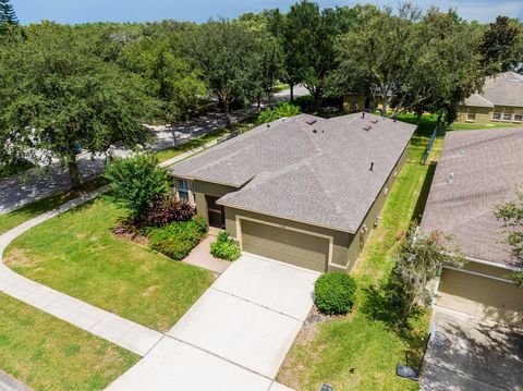 A home in LITHIA