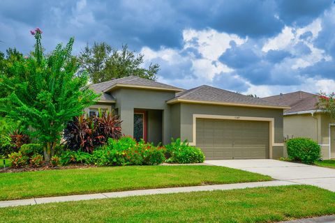 A home in LITHIA