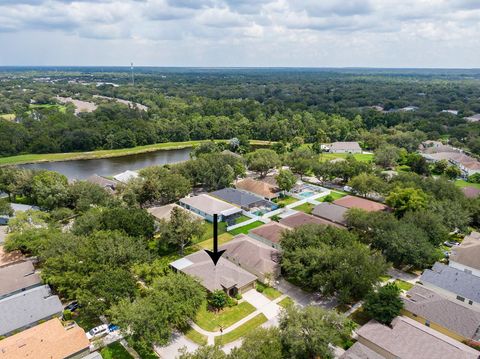 A home in LITHIA