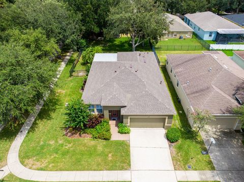 A home in LITHIA