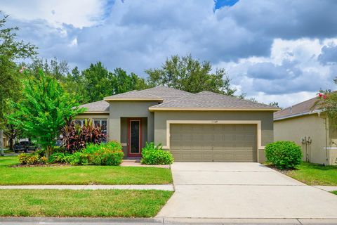 A home in LITHIA