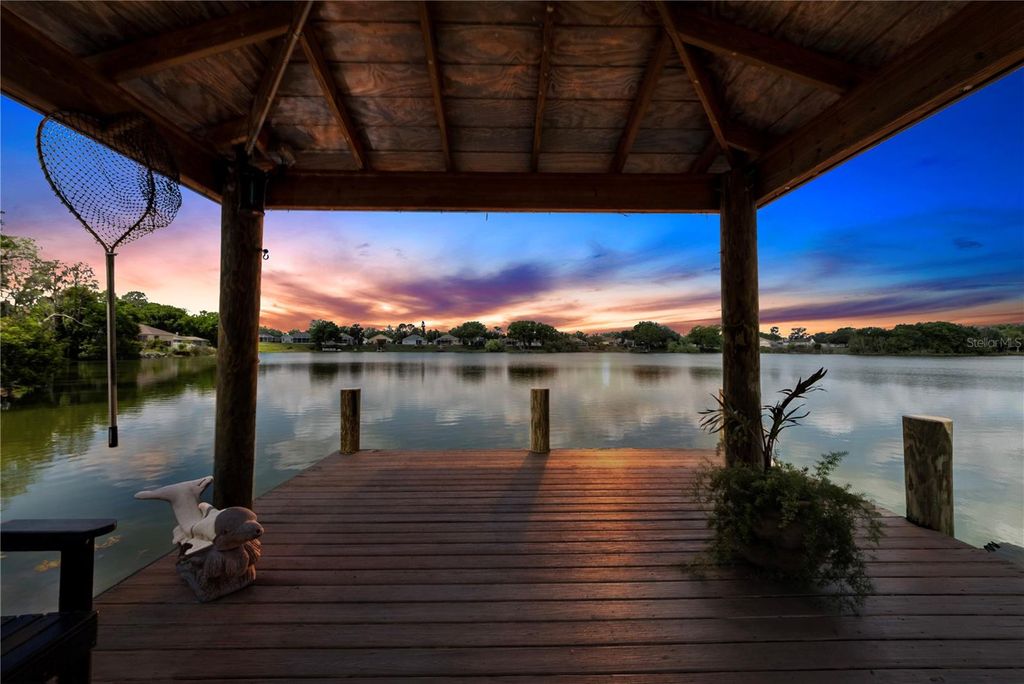 Photo of 3921 Roswell Place, Land O Lakes, FL 34639 (MLS # TB8487730)