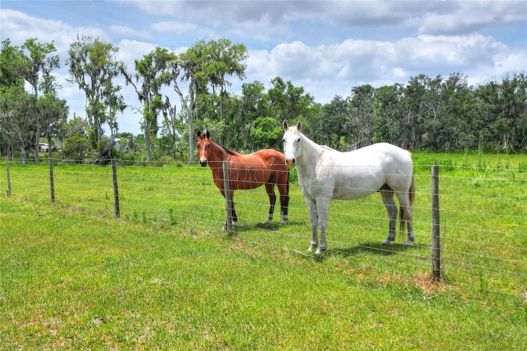 Photo of 0 S Cr 39, Lithia, FL 33547 (MLS # TB8486859)