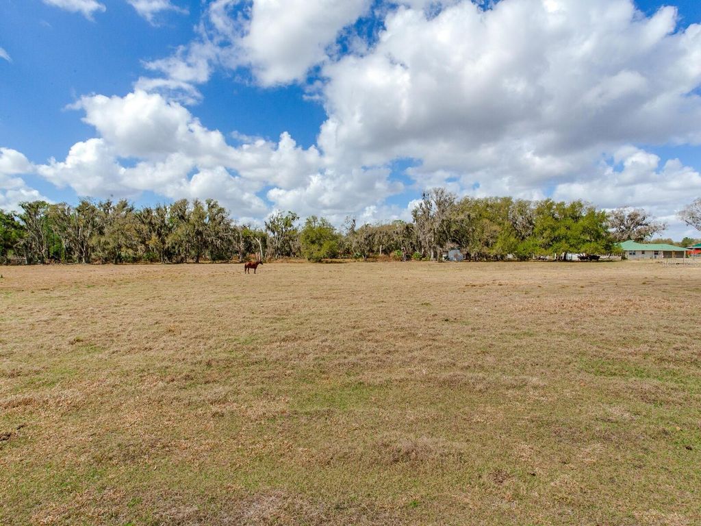 Photo of 0 S Cr 39, Lithia, FL 33547 (MLS # TB8486859)