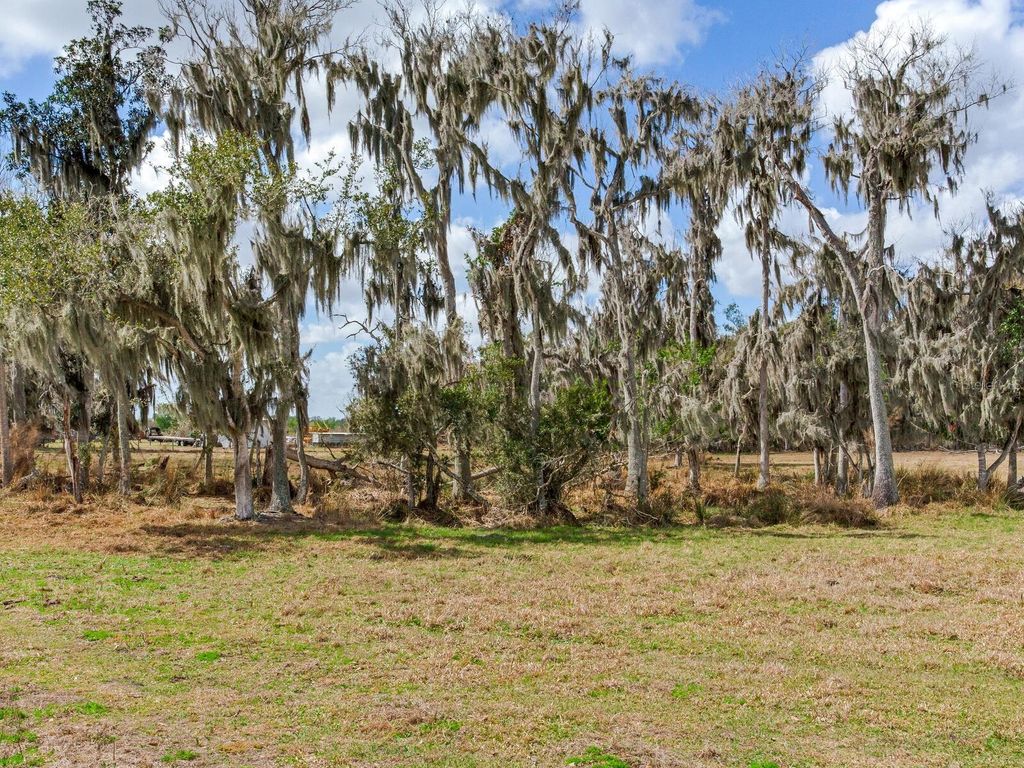 Photo of 0 S Cr 39, Lithia, FL 33547 (MLS # TB8486859)