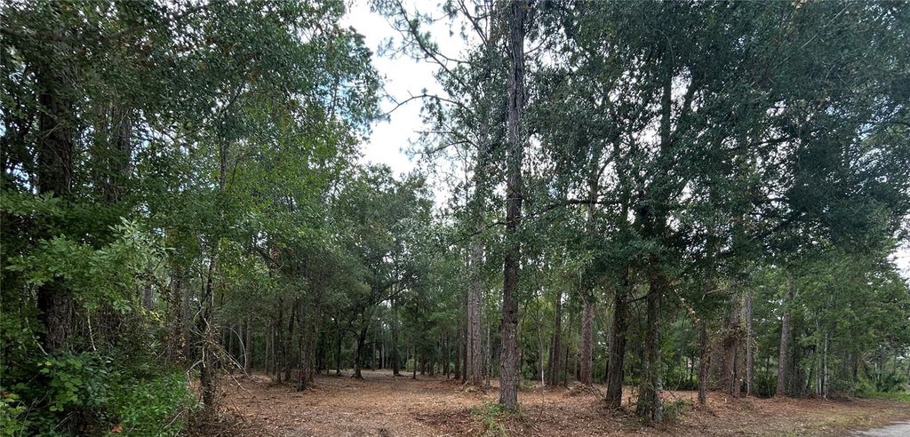 Photo of Westpoint Drive, Wesley Chapel, FL 33544 (MLS # TB8532288)