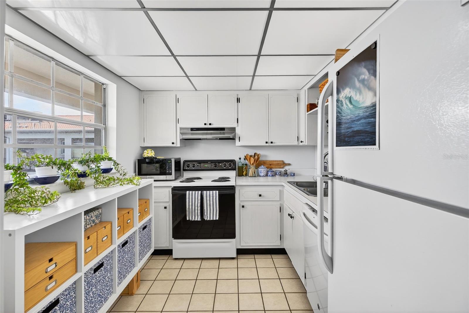 10351 REGAL DRIVE 24