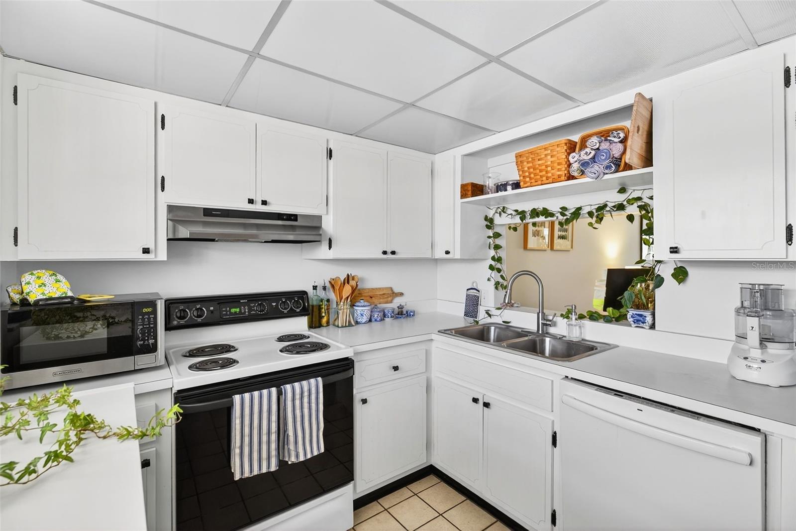 10351 REGAL DRIVE 24