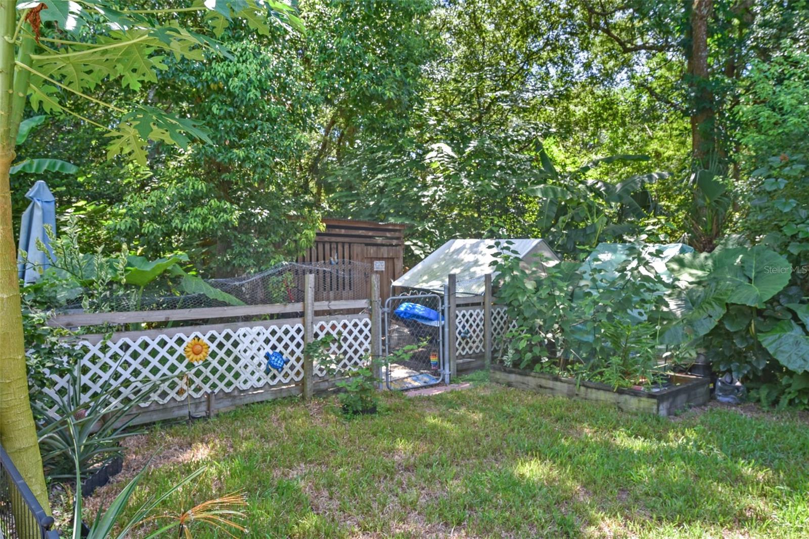 LIVE OAK FOREST - Residential