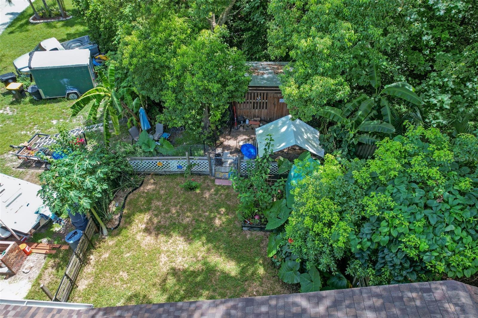 LIVE OAK FOREST - Residential