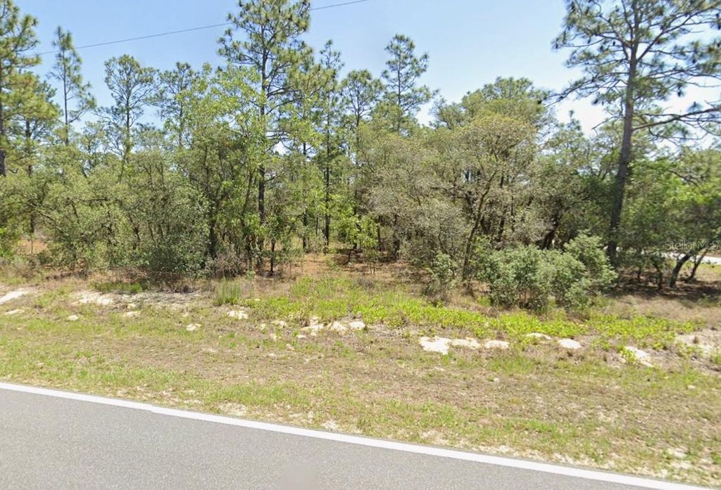 Photo of 0 NW Rigewood Road, Dunnellon, FL 34431 (MLS # G5105837)