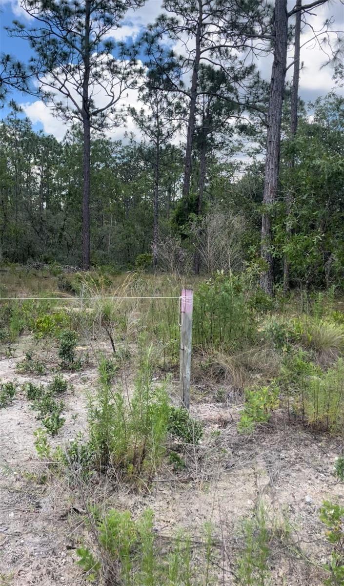 RAINBOW LAKE ESTATES - Land