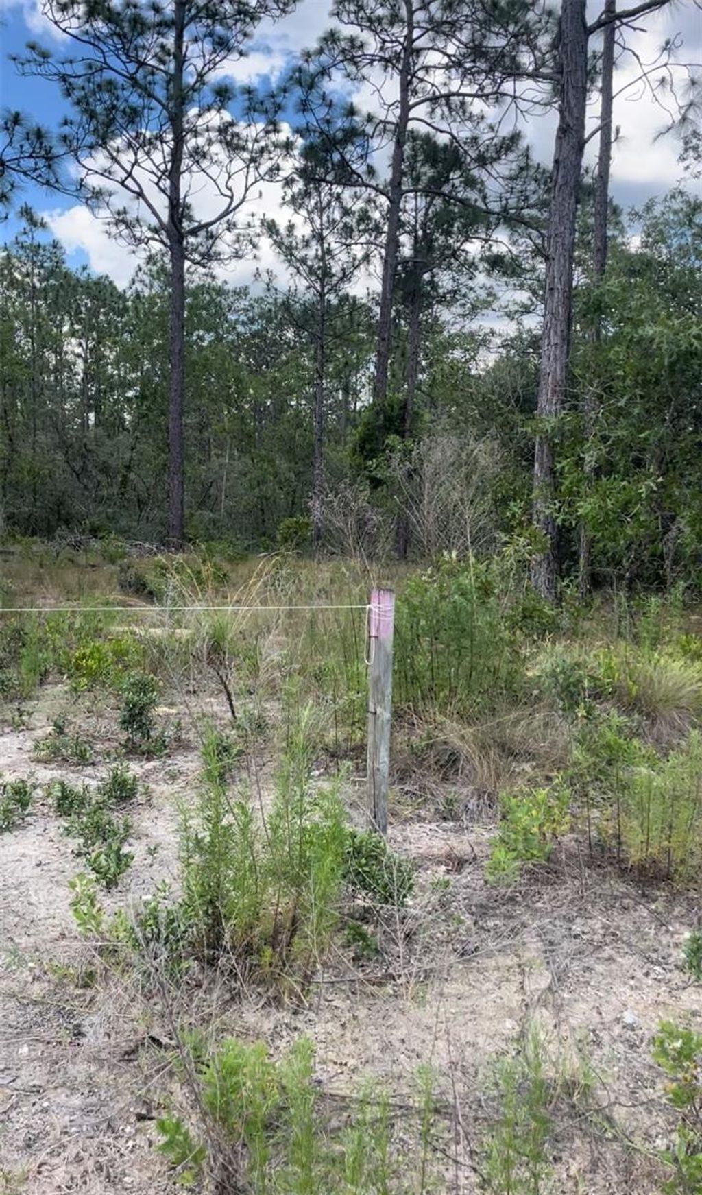 Photo of 0 NW Rigewood Road, Dunnellon, FL 34431 (MLS # G5105837)