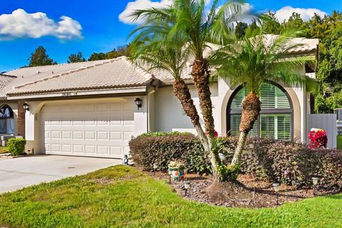 3690 DARSTON STREET PALM HARBOR FL 34685