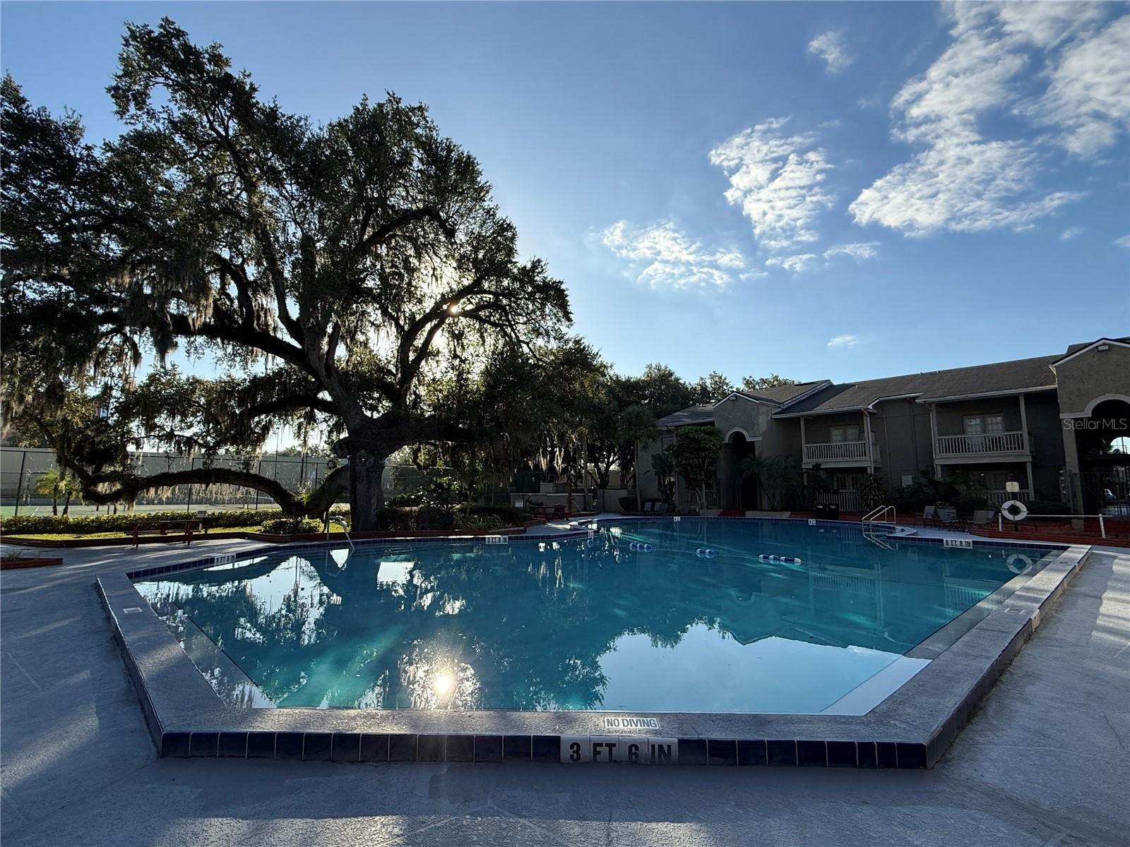 SERRAVELLA AT SPRING VALLEY A CONDO - Residential Lease