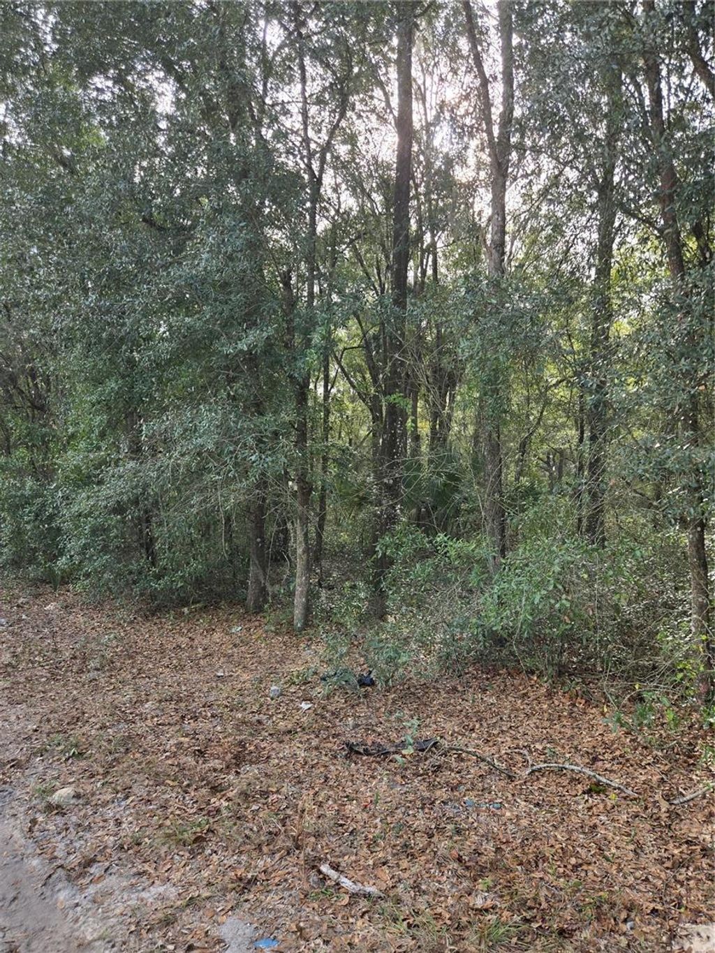 Photo of NE 163rd Pl, Citra, FL 32113 (MLS # OM716542)