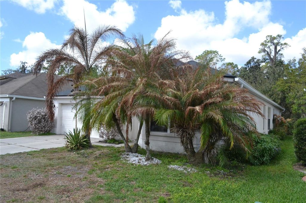 Photo of 27353 Edenfield Drive, Wesley Chapel, FL 33544 (MLS # TB8483082)