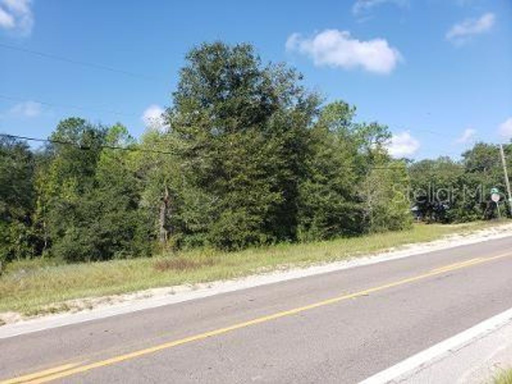 Photo of 341 S County Road 315, Interlachen, FL 32148 (MLS # OM714643)