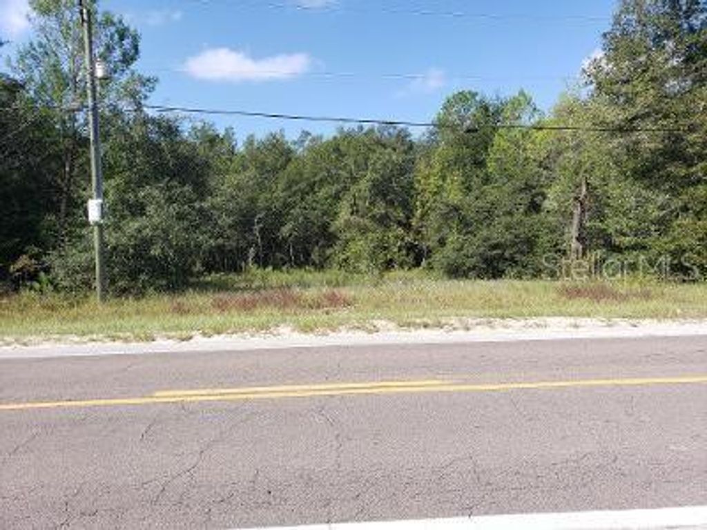 Photo of 341 S County Road 315, Interlachen, FL 32148 (MLS # OM714643)