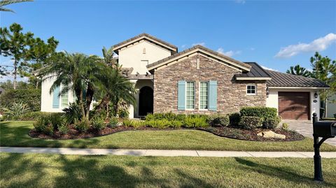 A home in LAND O LAKES