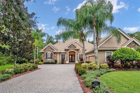 A home in PALM HARBOR