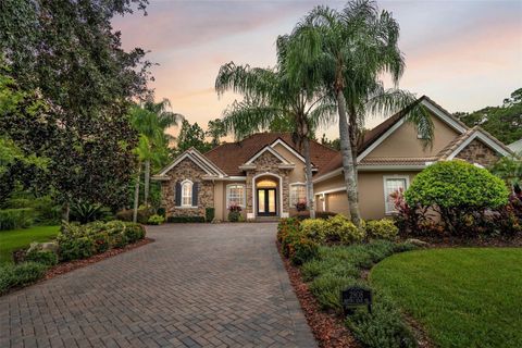 A home in PALM HARBOR