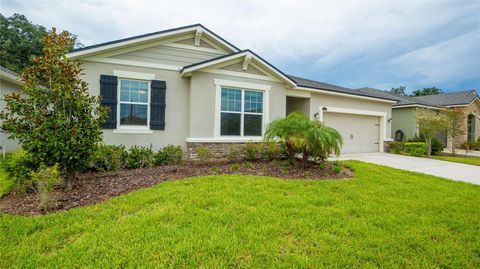 A home in RIVERVIEW