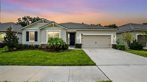 A home in RIVERVIEW