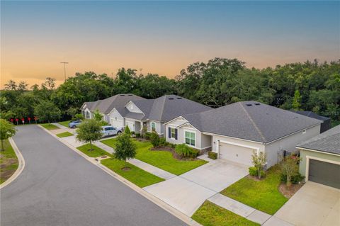 A home in RIVERVIEW