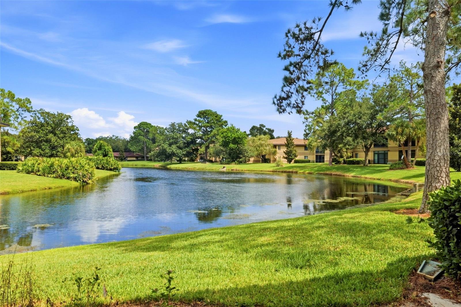 2687 SABAL SPRINGS CIRCLE 104