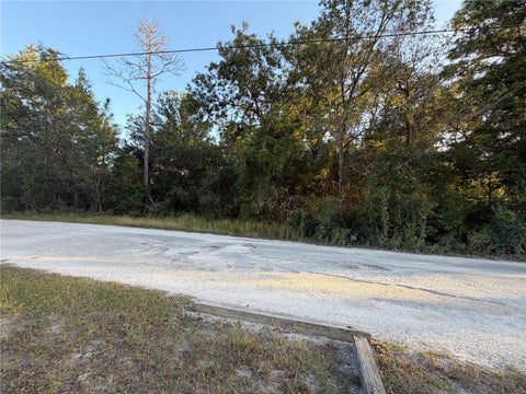 Tiny photo for 5296 S June Terrace, Homosassa, FL 34446 (MLS # TB8561763)