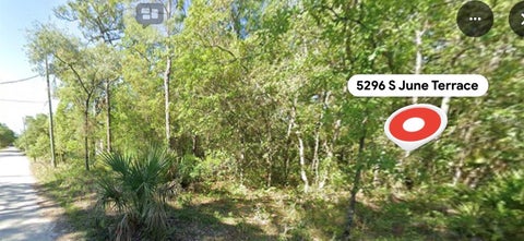 Tiny photo for 5296 S June Terrace, Homosassa, FL 34446 (MLS # TB8561763)