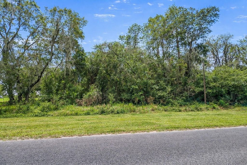 Photo of 21103 NE 117th Avenue, Waldo, FL 32694 (MLS # GC536588)