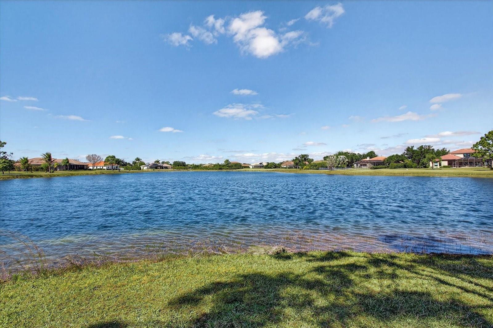 PANTHER RIDGE - Residential