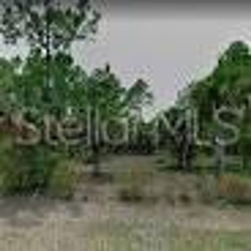 Vacant lot located in the PSection of Palm Coast, FL. Convenient location just minutes from the beach, shopping centers, schools, and major roadways. For additional information, please contact the listing agent.