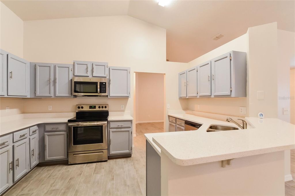 Photo of 1308 Whitewood Way, Clermont, FL 34714 (MLS # O6360019)