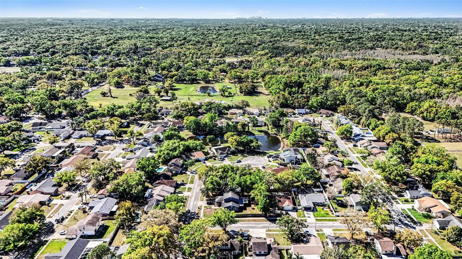 WILLOW POND - Residential
