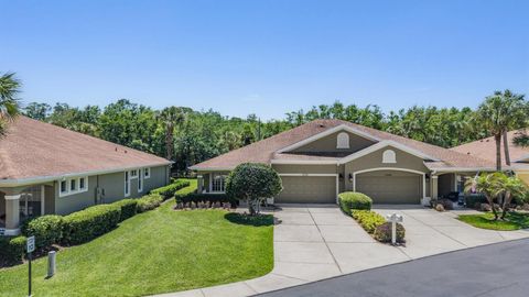 Photo of 12752 Aston Creek Drive, Tampa, FL 33626 (MLS # TB8496695)