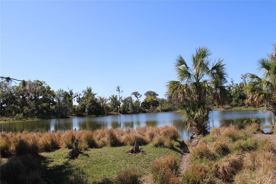 173 acres of beautiful pasture land with three small lakes located just 2.4 miles south of SR 60 in Plant City, FL. The pasture land south of State Road 60 in Plant City, Florida, represents a vital aspect of the region's agricultural and rural character. Located in eastern Hillsborough County, this area has long been associated with farming, cattle grazing, and open spaces that contribute to Florida’s agricultural economy and natural beauty. The pasture lands are primarily used for cattle grazing, supporting Florida's beef industry. These lands also contribute to other agricultural activities, such as hay production and sometimes small-scale farming. The rural lifestyle and historical legacy tied to farming and ranching are central to the identity of the area. 3409 SF house with 2088 SF living area built in 1959 3839 SF house with 3496 SF living area built in 1992 1800 SF metal barn The subject property features three ponds, 21 acres, 3 acres and 3 acres. The two houses are serviced by septic tank. There are two wells which services the two houses and barn. Planned Development Number- PD-A 92-383 1. The maximum density must not exceed the land use plan category (A/M .05 DU/GA) 2. A maximum of 6 additional units may be developed on the 173 acre site. Minimum lot size for each unit is one acre. Minimum lot width shall be 150'. The units may be clustered to preserve agricultural uses elsewhere on the property. 3. Permitted and permissible uses of the property shall be that of the A/M (Agricultural/Mining) zoning district. Located in the Plant City area Prime investment opportunity Zoned for desired land use Ample acreage for development Strategic proximity to major highways Utilities readily available Potential for various development projects Attractive market for commercial ventures Surrounded by growing economic activity Opportunity for long-term appreciationThe poroperty has a second site built 2Bed/2 bath 2,088 sf home.  It is block with a fireplace and carport and built in 1959.  Bedroom 1 id 18 x 13 and bedroom 2 is 16 x 14.  

There is a 30 x 60 metal barn with 10' eve height and concrete floor.  

There are two wells with electric power units.