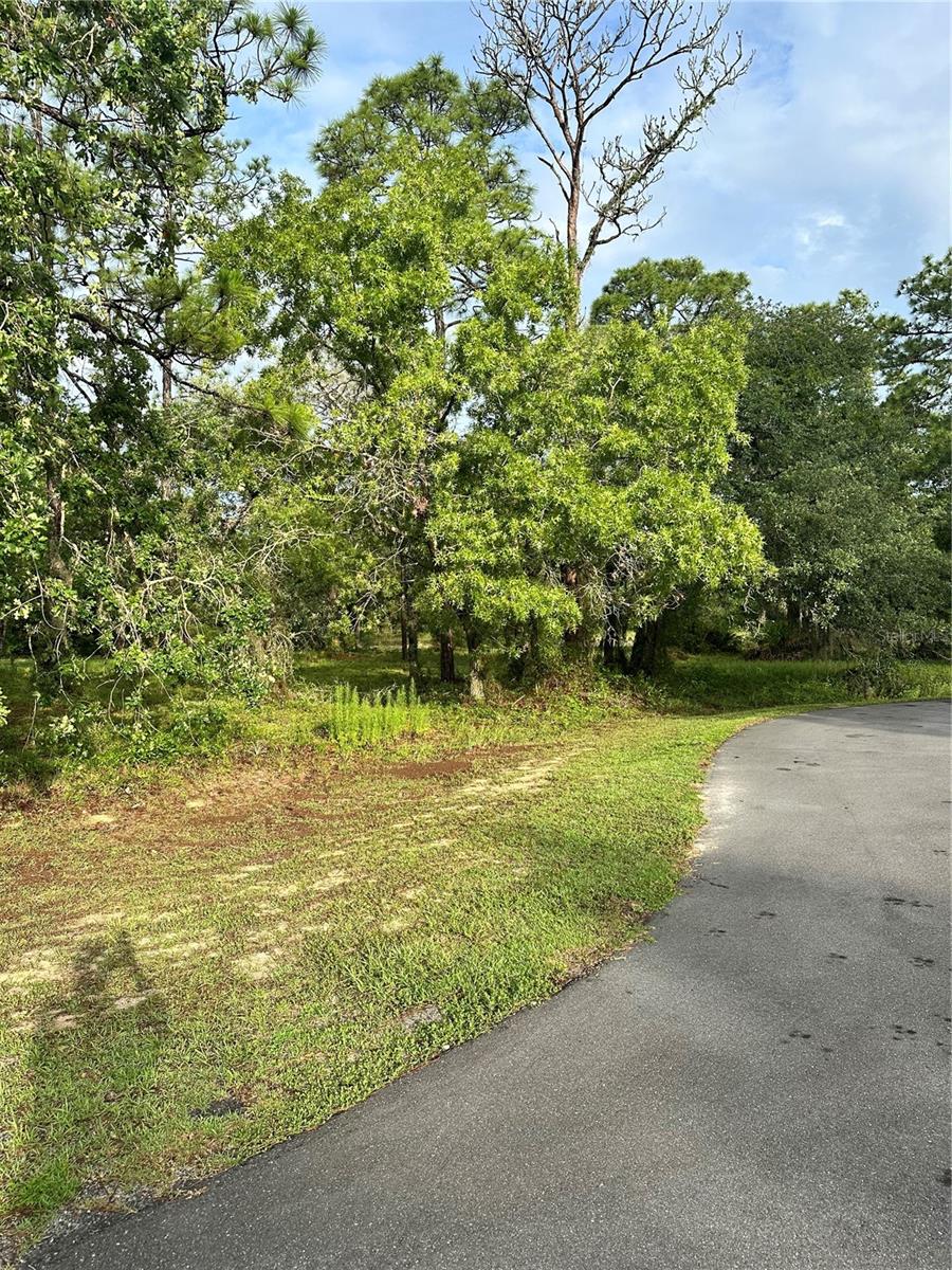 SOUTHERN WOODS AT SUGARMILL WOODS - Land