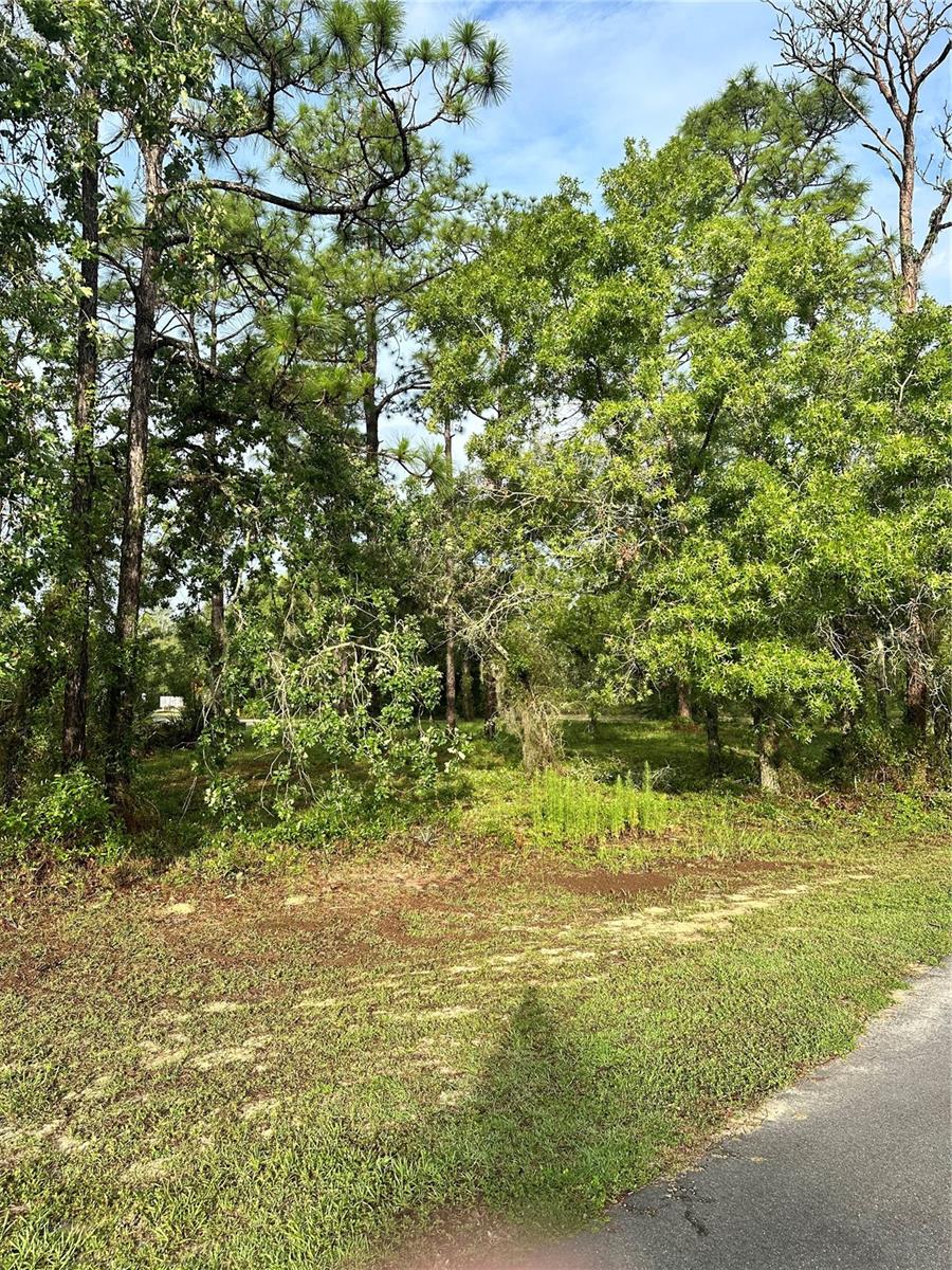 SOUTHERN WOODS AT SUGARMILL WOODS - Land